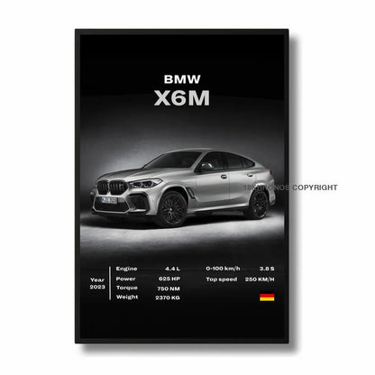 BMW X6M - 18Khronos