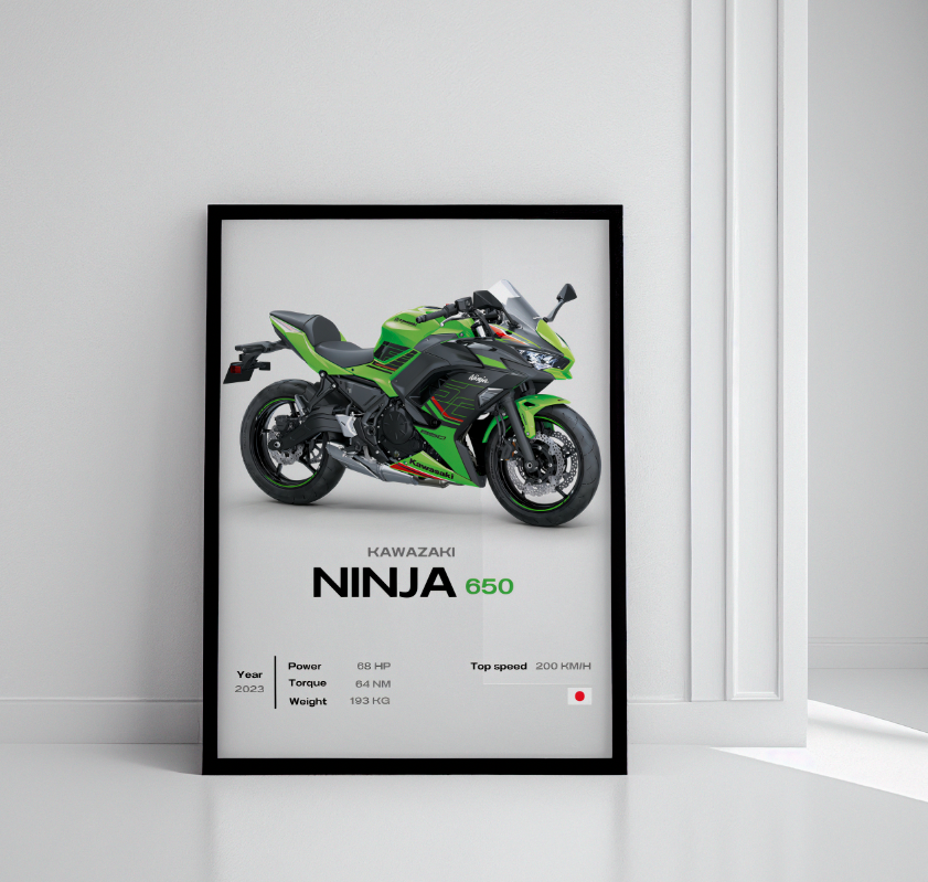 Kawasaky Ninja 650 - 18Khronos